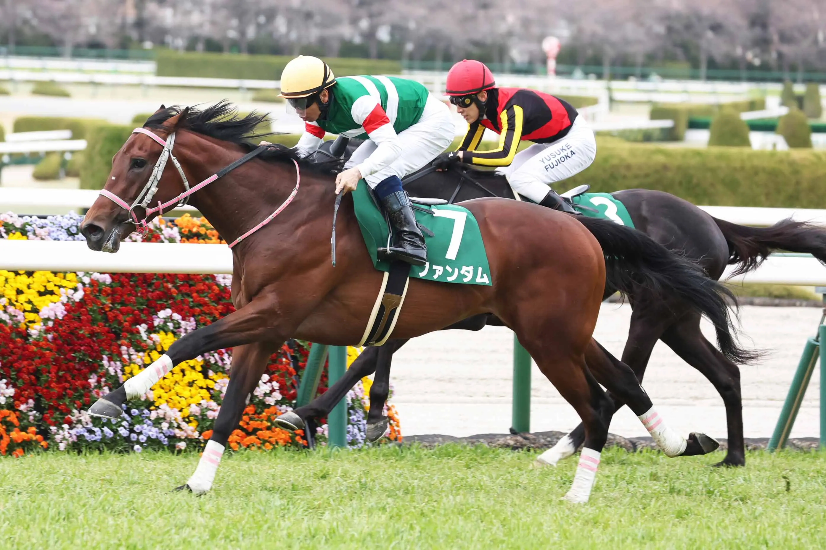 九游体育 -包含马赛迎足总杯关键赛，赛前扳平良机，赛场秩序良好，训练强度明显提升的词条